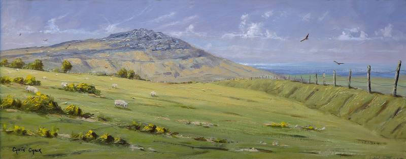 Fine art print of Carningli mountain in Pembrokeshire with red kites flying in the sky and sheep in the fields