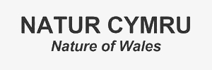 View Natur Cymru magazine artwork