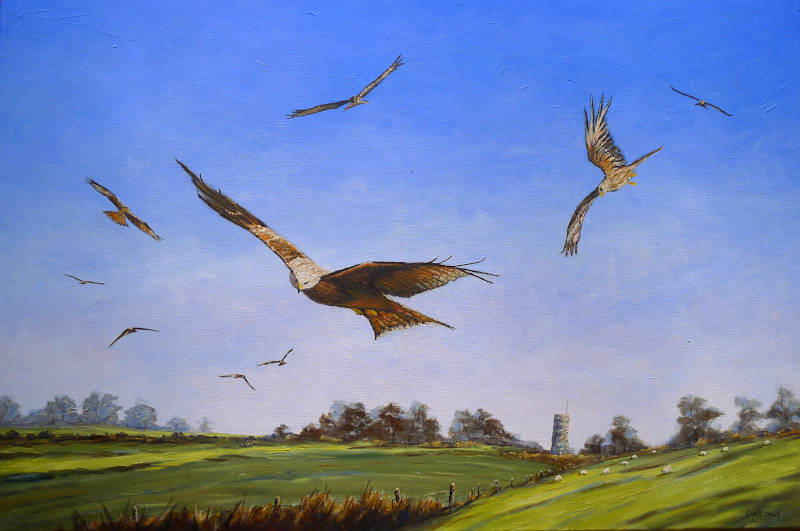 A red kite print of nine red kites flying over Welsh farmland with a tower in the background.